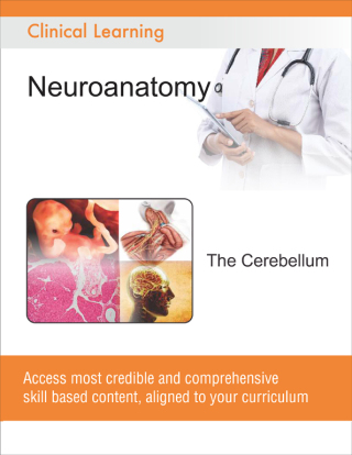 Imagen de portada: The Cerebellum 9788131258781