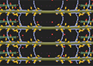 Cover image: Effect of Temperature on SMT 9788131258996