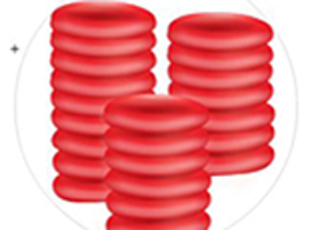 Imagen de portada: Erythrocyte Sedimentation Rate  (ESR) 9788131259023