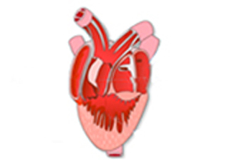 Imagen de portada: Frog Heart Dissection 9788131259030