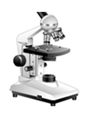 Imagen de portada: Haemocytometry 9788131259054