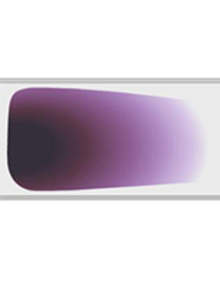 Cover image: Peripheral Blood Smear 9788131259122