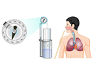 Cover image: Vital Capacity and Effect of Posture 9788131259269