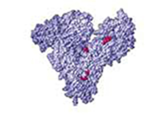 Imagen de portada: Estimation of Serum Albumin 9788131259351
