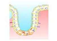 Imagen de portada: Estimation of Serum Alkaline Phosphatase 9788131259368