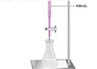 Cover image: Estimation of Serum Calcium 9788131259382