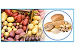 Cover image: General Tests of Carbohydrates and their Identification 9788131259443