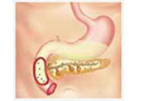 Cover image: Pancreatic Function Test Part 1 9788131259511