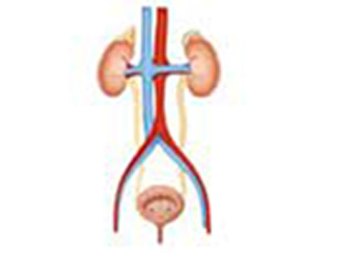 Imagen de portada: Urine Analysis 9788131259566