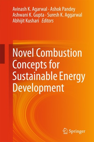 Imagen de portada: Novel Combustion Concepts for Sustainable Energy Development 9788132222101