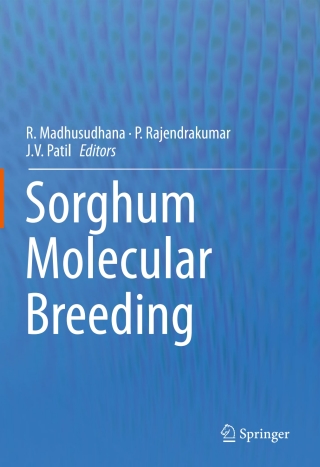 Imagen de portada: Sorghum Molecular Breeding 9788132224211