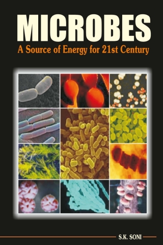 Immagine di copertina: Microbes: A Source of Energy for 21st Century 1st edition 9788189422141