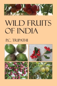 صورة الغلاف: Wild Fruits of India 1st edition 9789389130201