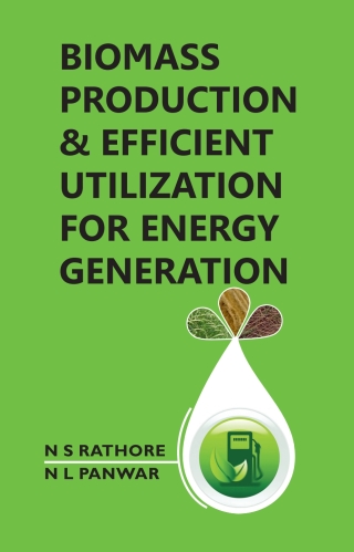Cover image: Biomass Production and Efficient Utilization for Energy Generation 1st edition 9789390175086