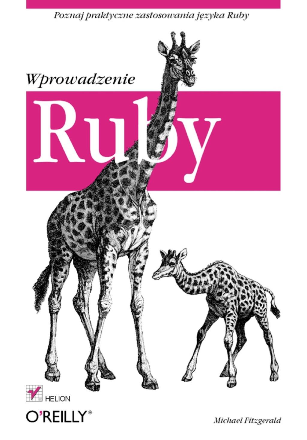 Ruby. Wprowadzenie 1st Edition