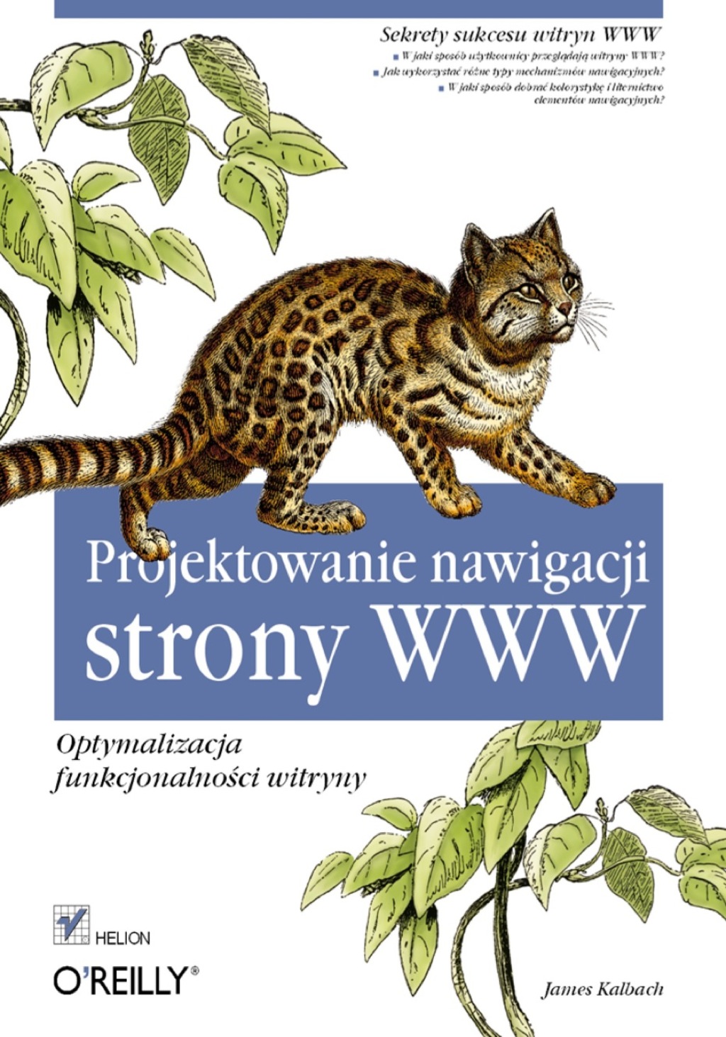 Projektowanie nawigacji strony WWW. Optymalizacja funkcjonalno?ci witryny 1st Edition