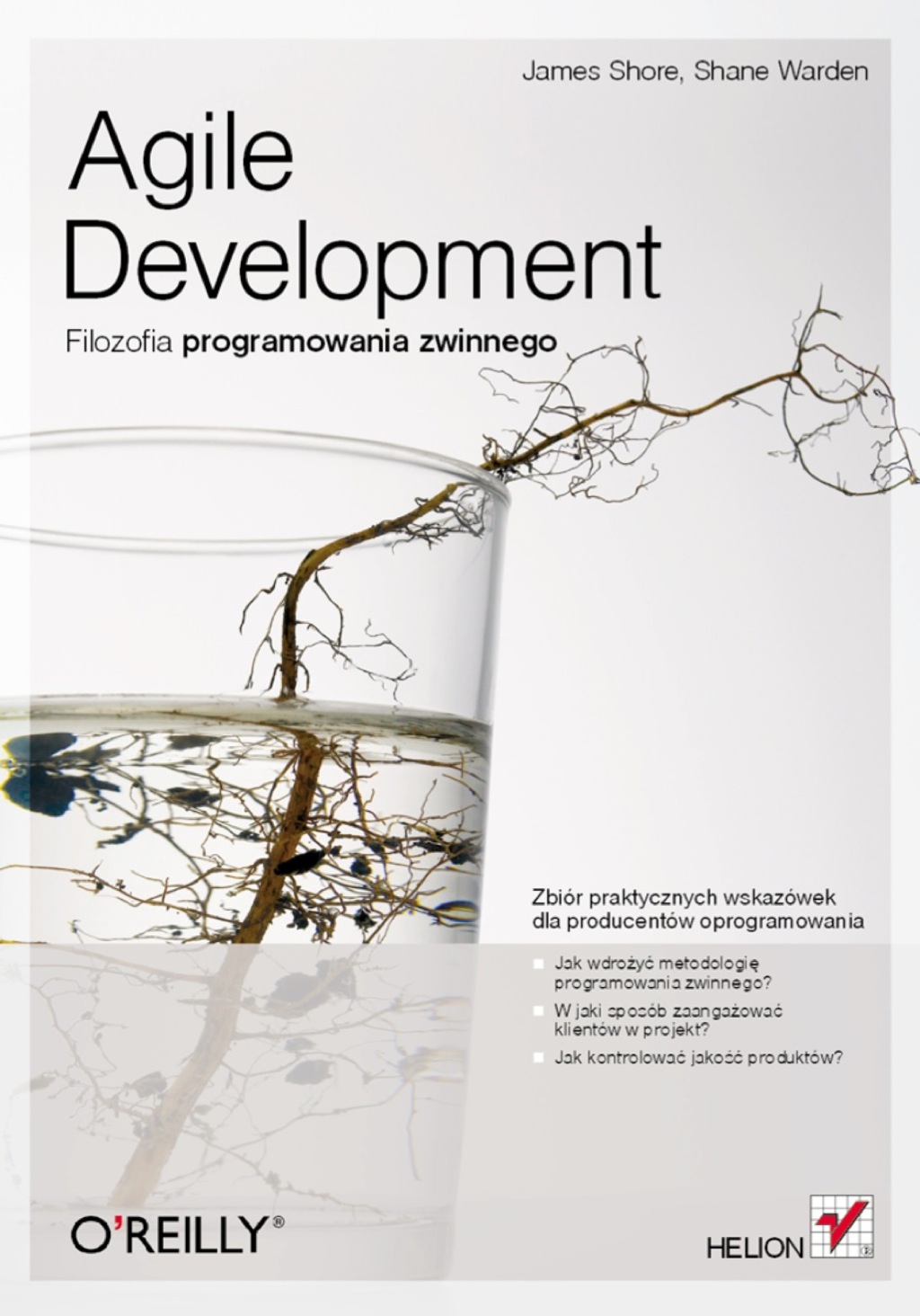 Agile Development. Filozofia programowania zwinnego 1st Edition