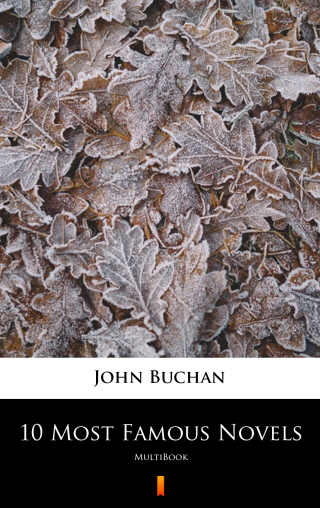 Cover image: 10 Most Famous Novels 9788382174700