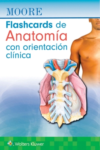 Cover image: Moore. Flashcards de Anatomía con orientación clínica 9788410022201