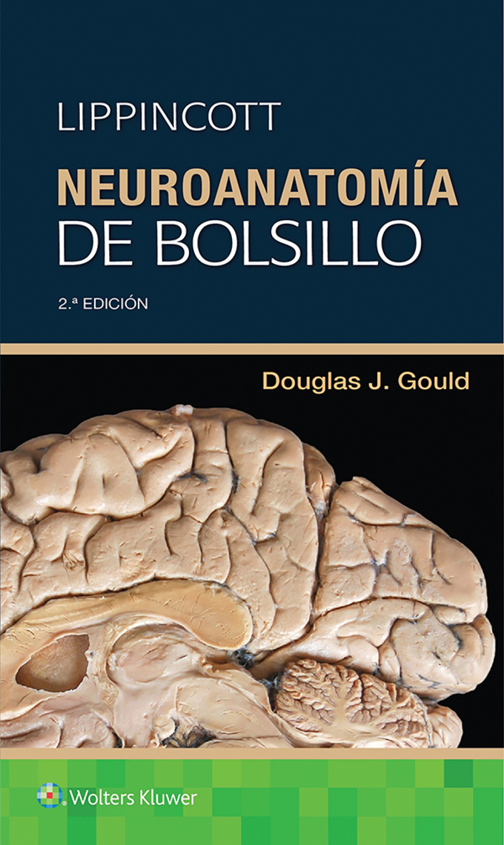 Lippincott Neuroanatom&iacute;a de bolsillo  2nd Edition eBook