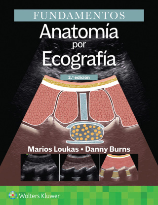 Imagen de portada: Fundamentos. Anatomía por ecografía 2nd edition 9788410870192