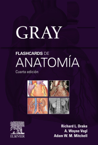 Imagen de portada: Gray. Flashcards de Anatomía 4th edition 9788413820187