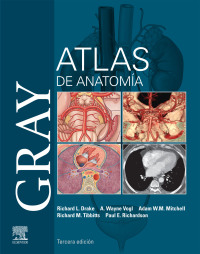 Omslagafbeelding: Gray. Atlas de Anatomía 3rd edition 9788491139607