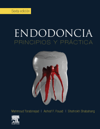 Imagen de portada: Endodoncia 6th edition 9788413820217