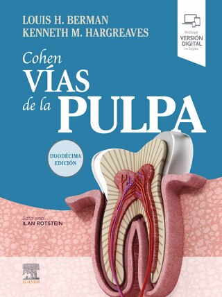 Cover image: Cohen. Vías de la Pulpa 12th edition 9788491139683