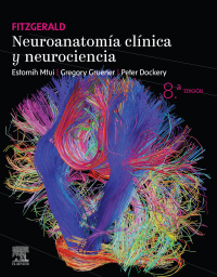 Immagine di copertina: Fitzgerald. Neuroanatomía clínica y neurociencia 8th edition 9788413820439