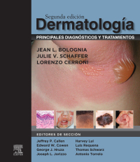 Cover image: Dermatología: principales diagnósticos y tratamientos 2nd edition 9788413823126