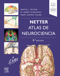 表紙画像: Netter. Atlas de neurociencia 4th edition 9788413823010