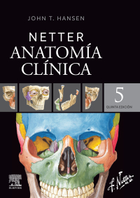 صورة الغلاف: Netter. Anatomía clínica 5th edition 9788413823867