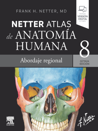 Cover image: Netter. Atlas de anatomía humana. Abordaje regional 8th edition 9788413823980