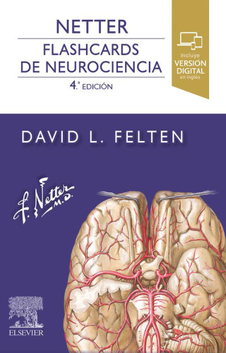 Cover image: Netter. Flashcards de neurociencia 4th edition 9788413825069