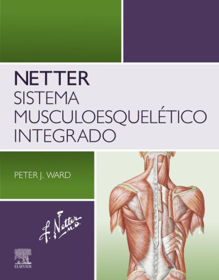Cover image: Netter. Sistema musculoesquelético integrado 1st edition 9788413825540