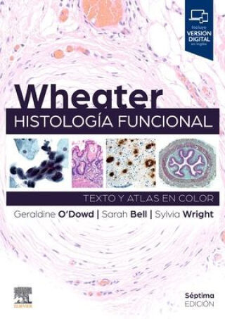 Immagine di copertina: Wheater. Histología funcional 7th edition 9788413826424