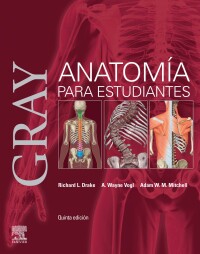 Titelbild: Gray. Anatomía para estudiantes 5th edition 9788413826226