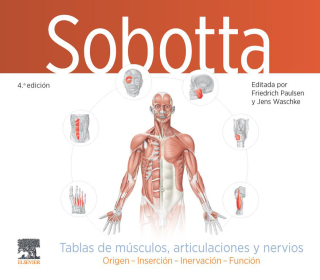 Titelbild: Sobotta. Tablas de músculos, articulaciones y nervios 4th edition 9788413826325