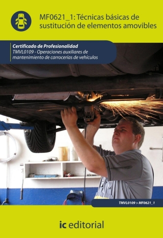 Cover image: Técnicas básicas de sustitución de elementos  amovibles MF0621_1 1st edition 9788415886396