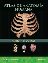 Omslagafbeelding: Atlas de anatomía humana 9788416353774