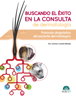 Cover image: Buscando el éxito en la consulta de dermatología 1st edition 9788417640514