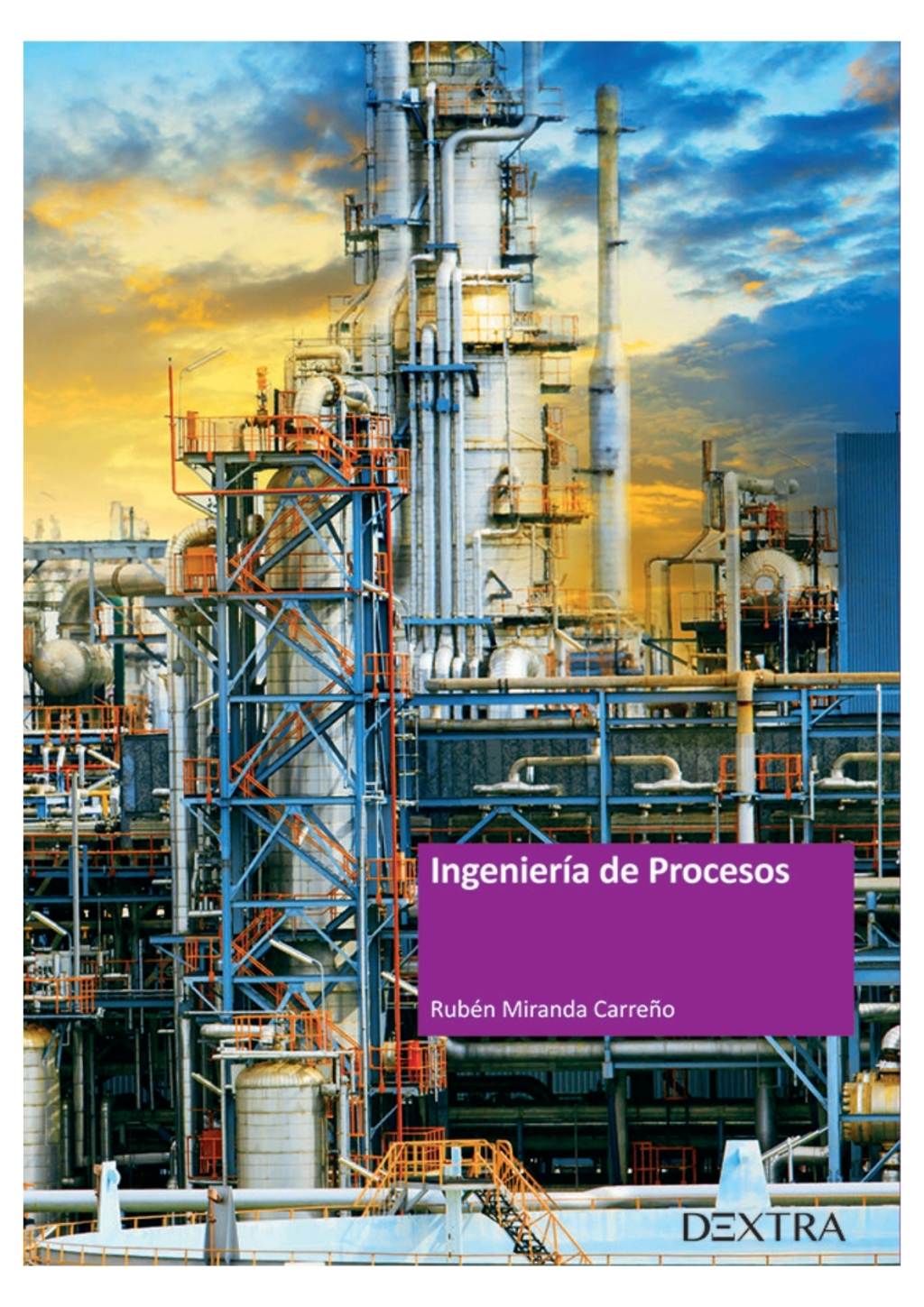 Ingeniería de Procesos 1st Edition
