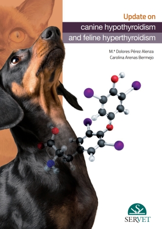 Immagine di copertina: Update about Canine Hypothyroidism and Feline Hyperthyroidism 1st edition 9788417225414