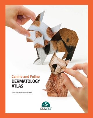 Cover image: Canine and Feline Dermatology Atlas 1st edition 9788494244957