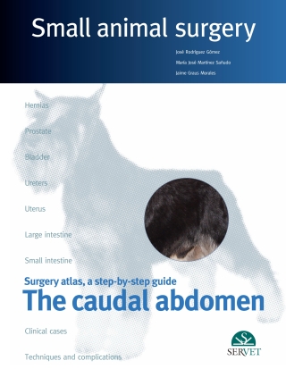 Cover image: The caudal abdomen. Small animal surgery 1st edition 9788492569694