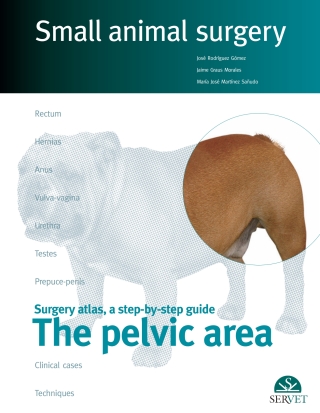 Imagen de portada: The pelvicaArea. Small animal surgery 1st edition 9788492569465