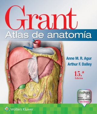 Cover image: Grant. Atlas de anatomía 15th edition 9788418892547