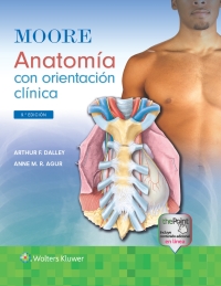 Immagine di copertina: Moore. Anatomía con orientación clínica 9th edition 9788418892745