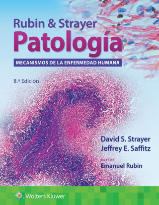Cover image: Rubin & Strayer. Patología 8th edition 9788419284037
